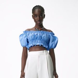 Zara Stretch Poplin Top in Light Blue